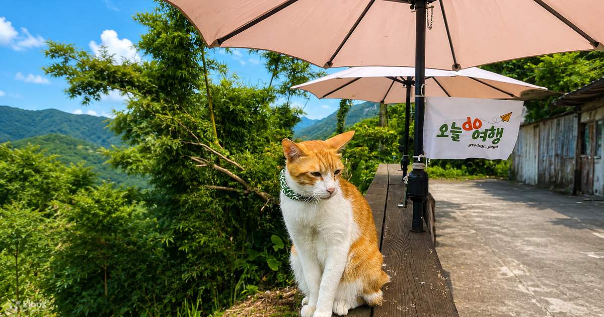 [Meow Butler Annyang] Taiwan Taipei Yehliu Shifen Jiufen Bus Tour ...